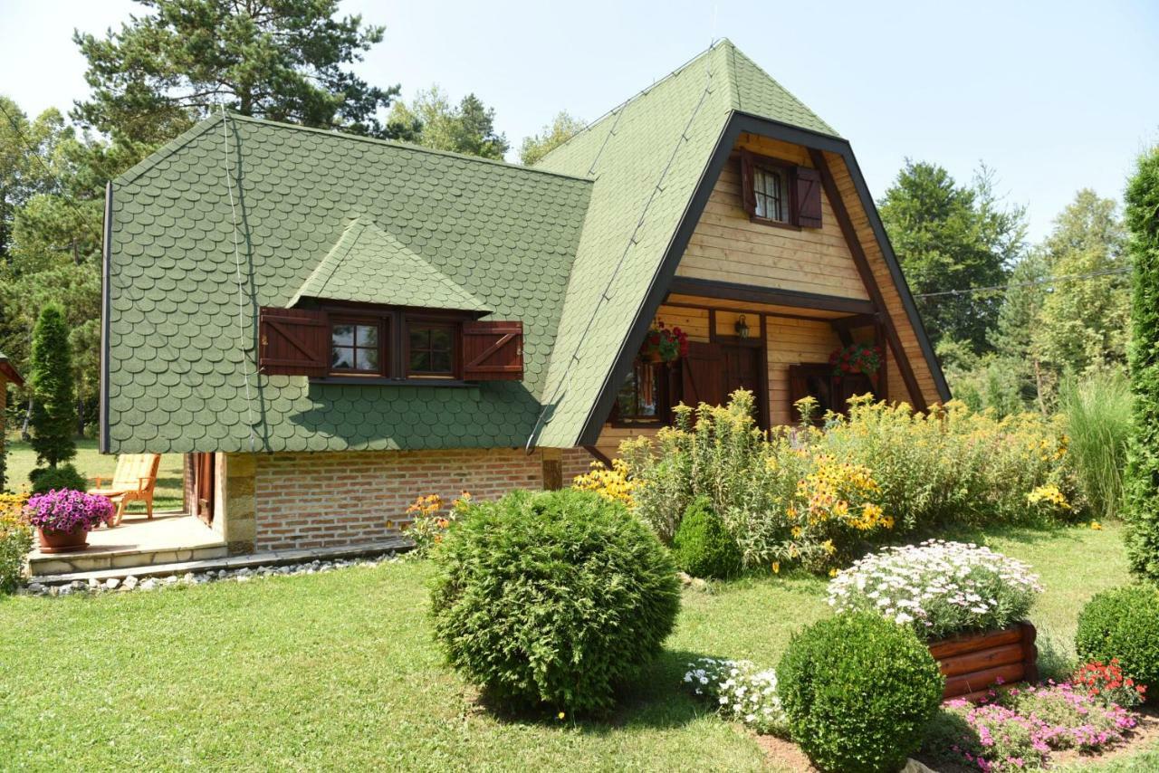 Visnjin Dom Villa Divčibare Екстериор снимка